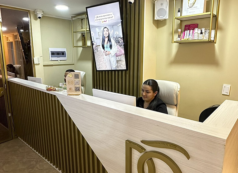 Técnicas de remoción