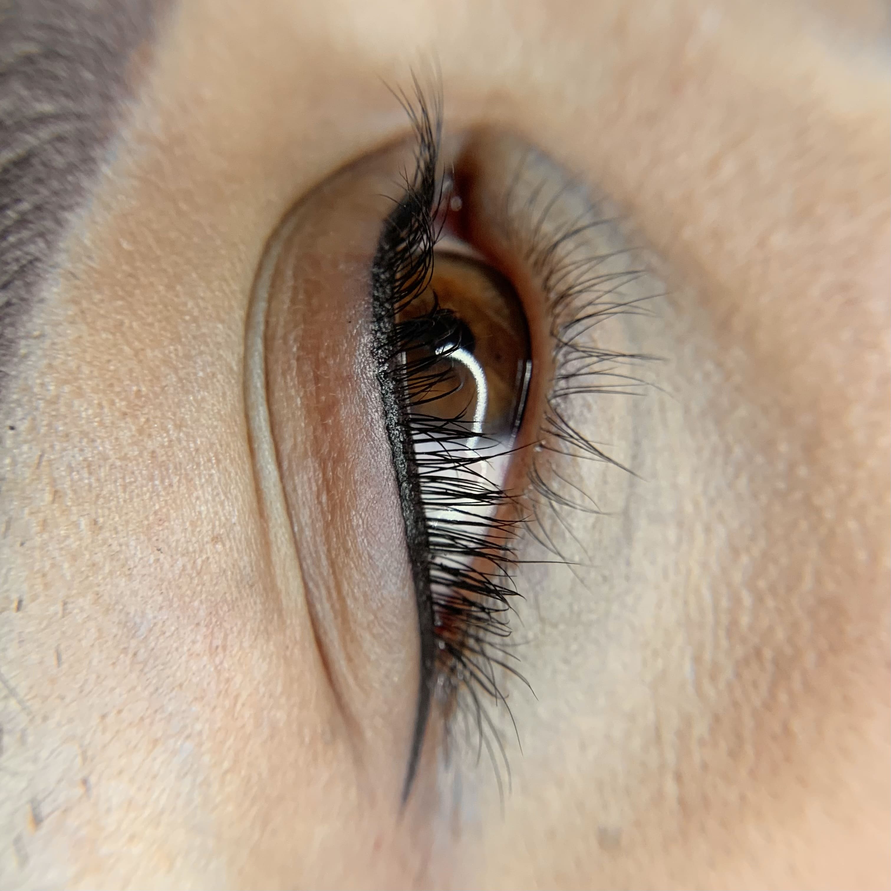 Realce o delineado de pestañas - Dani Osorio Studio